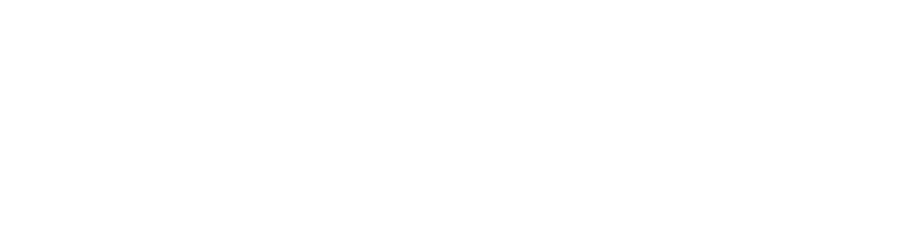 wavvybaby wordmark in white